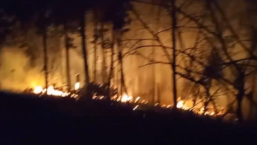 Incendio forestal en Gijón: 15.000 metros cuadrados afectados e intervención nocturna de los bomberos