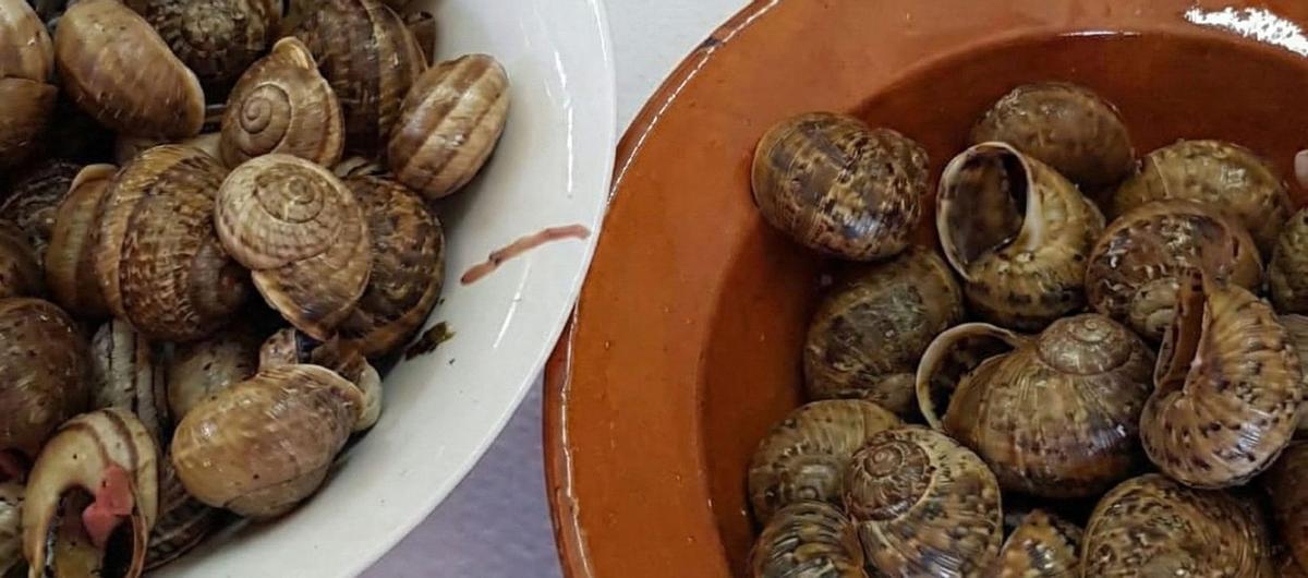 «A les Balears va arribar a haver-hi 21 granges de caragols; ara per ara, en queden tres»