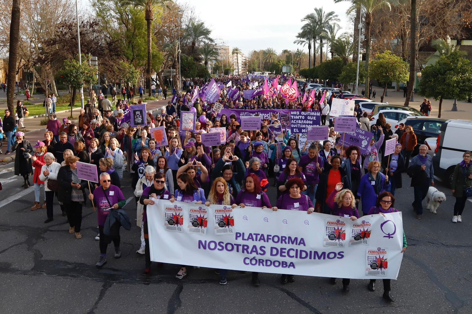 La manifestación del 8M recorre las calles de Córdoba