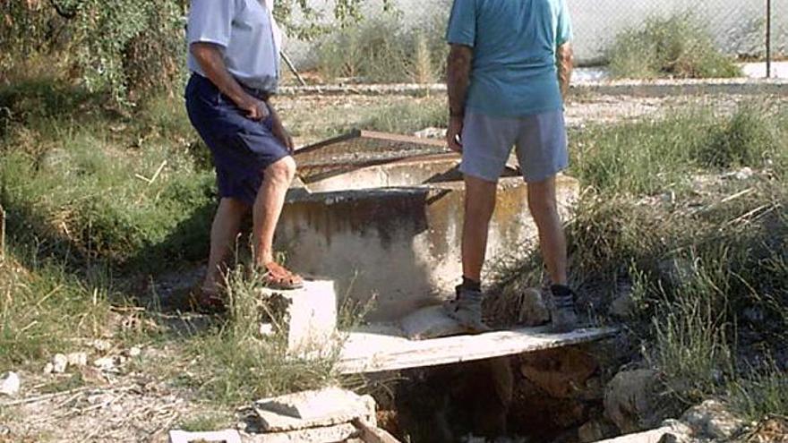 Agricultores regando con agua del trasvase en una explotación de Mutxamel.
