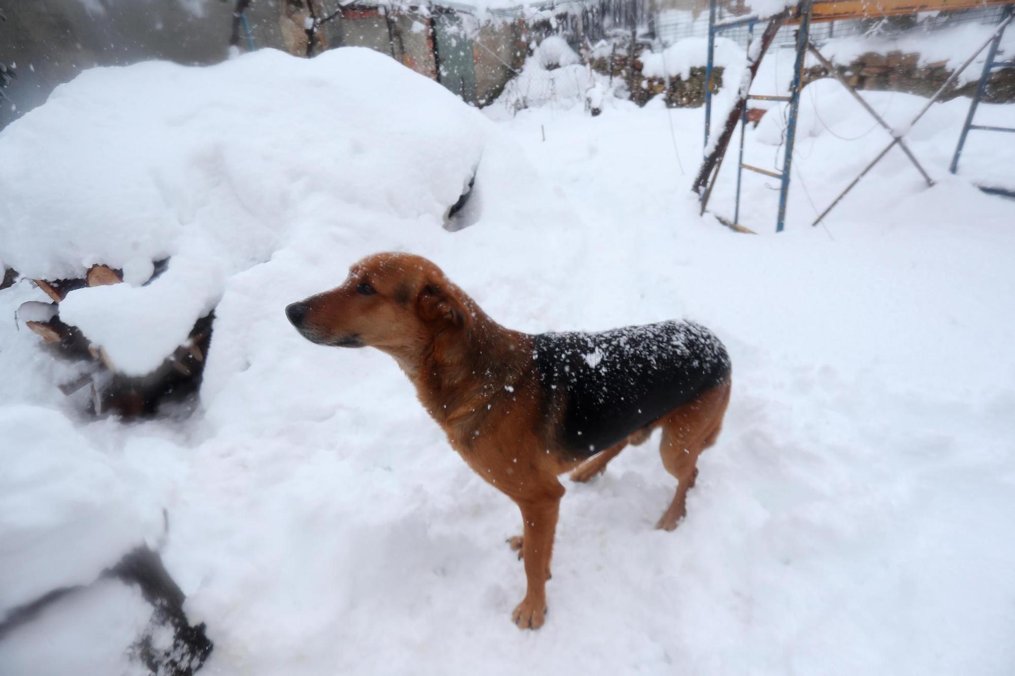 La nieve impide salir de casa en los pueblos del interior de la C. Valenciana