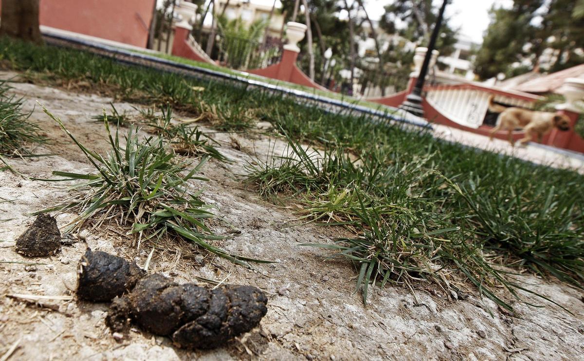 Extrementos de perro en el Jardín de la Música en Elda, en imagen de archivo.