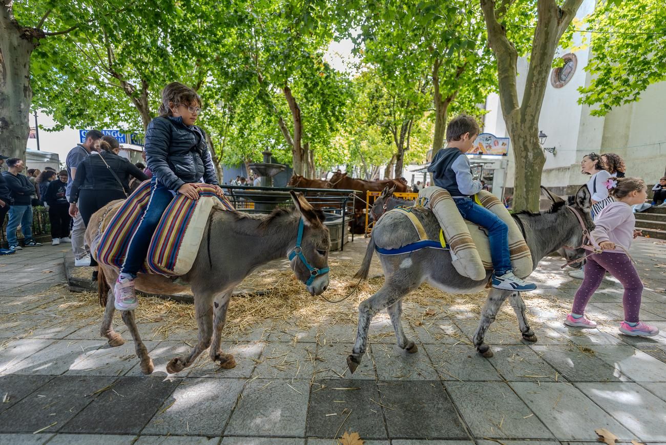 Feria Sabor y Tradición en Valleseco