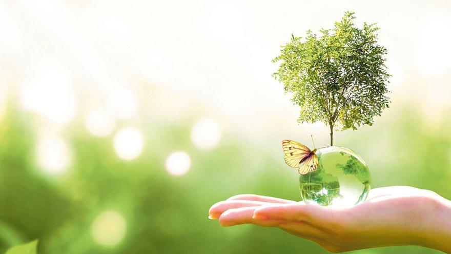 Banco Santander, firmemente comprometido con la protección del medio ambiente