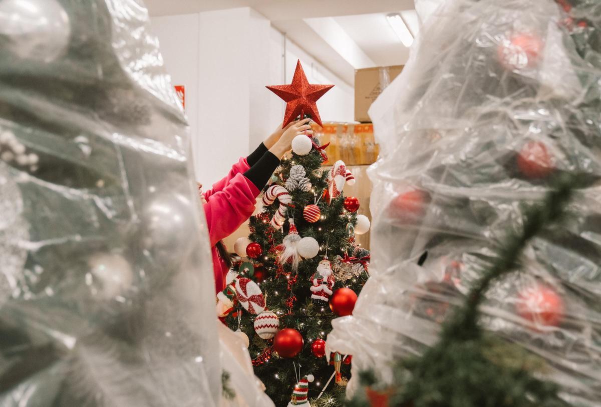 Así es el almacén de Tetuán donde se puede alquilar árboles de Navidad
