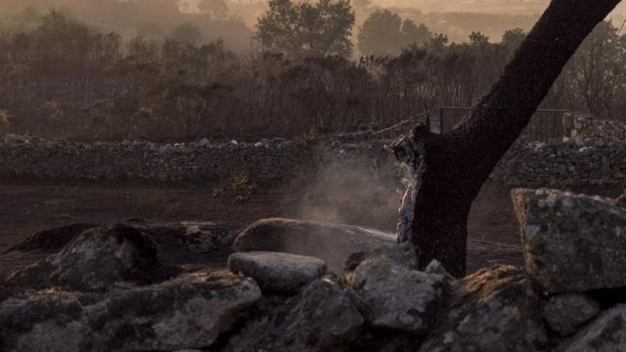 Continúa activo y en nivel 1 el incendio declarado el lunes en Aldeadávila de la Ribera