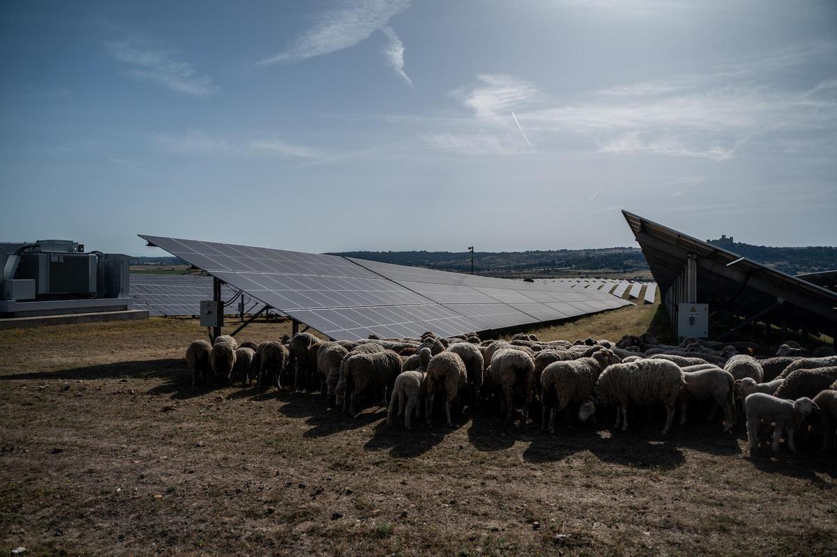 Fotogalería | Las imágenes del acto de inauguración de la mayor batería de almacenamiento de energía de España