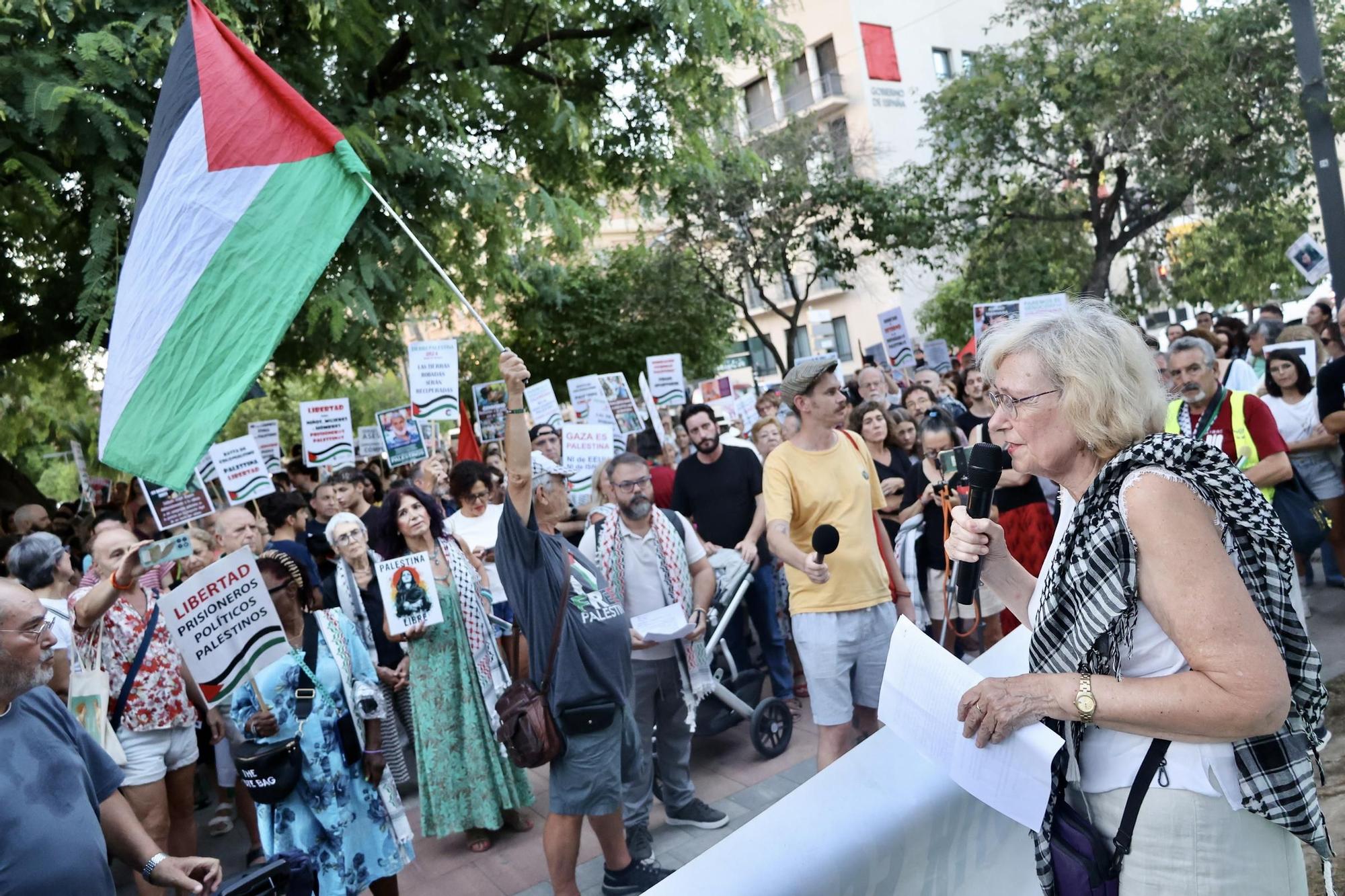 Así se vivió la concentración en apoyo a Palestina frente a la Delegación del Gobierno