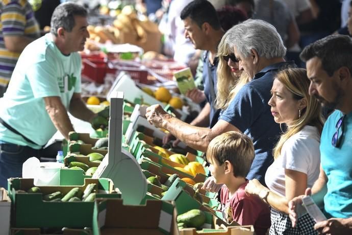 III FERIA DEL AGUACATE