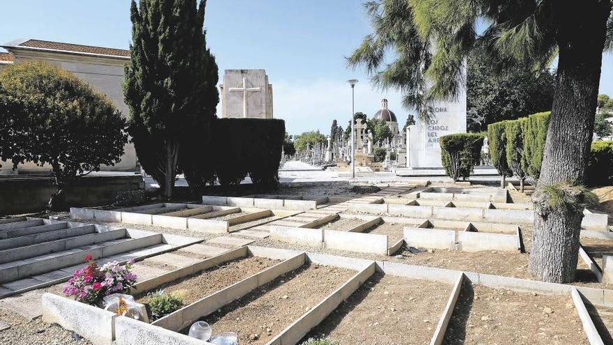 Imagen de parte del cementerio musulmán de Son Valentí.  Guillem Bosch