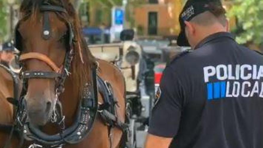 La Policía Local multa a siete conductores de calesas por trabajar en plena ola de calor