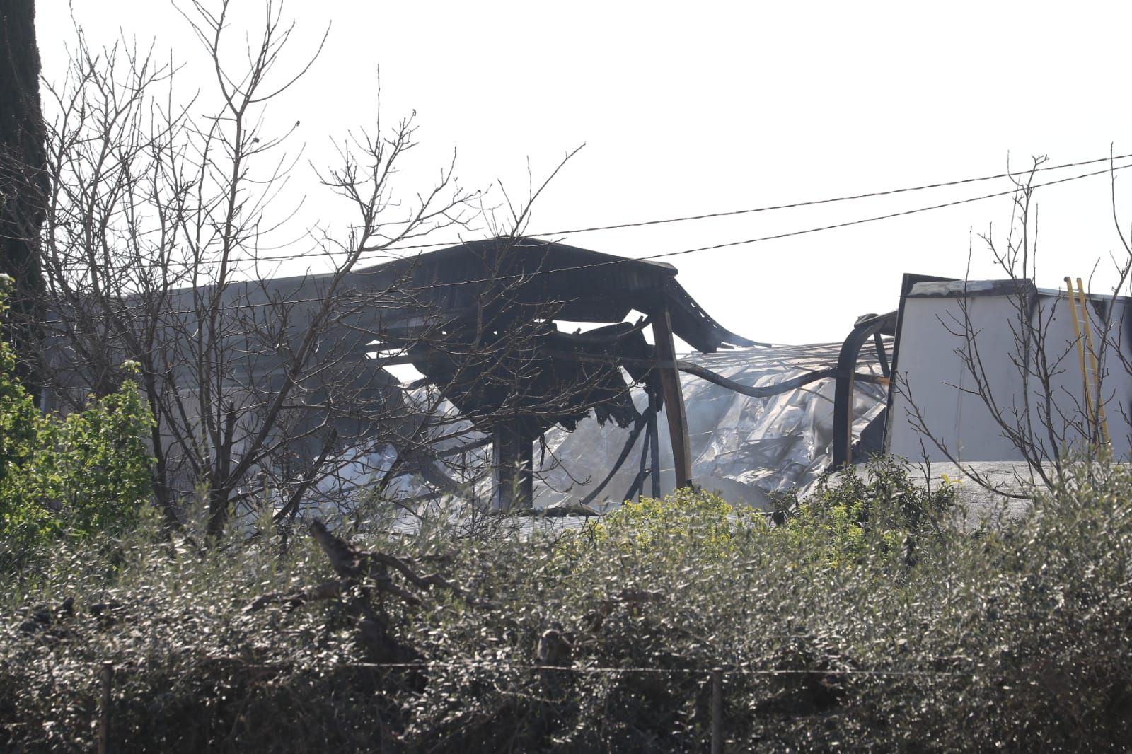 Incendio en una empresa de semilleros en Totana