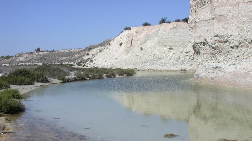 Estanque donde se han cogido muestras de las especies.