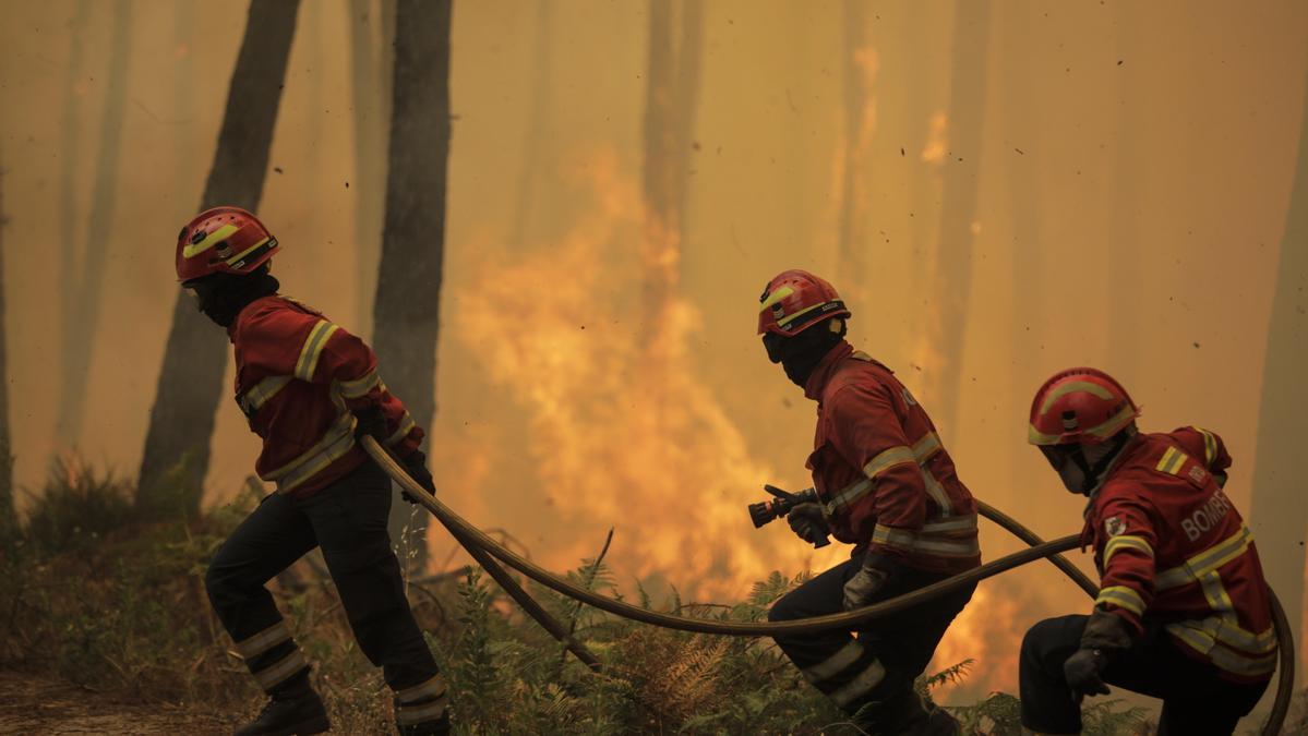Bomberos luchan contra las llamas en un incendio en Portugal.