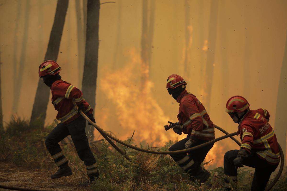 Bomberos luchan contra las llamas en un incendio en Portugal.