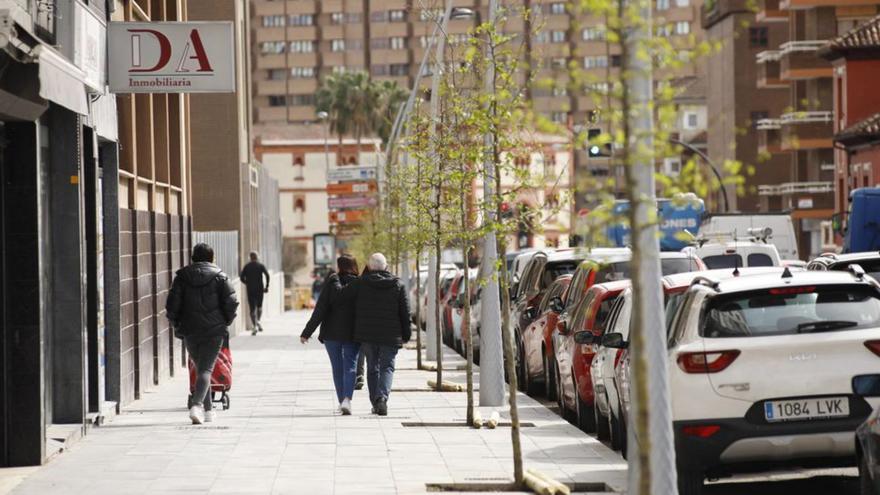 Algunos de los árboles plantados ayer por la mañana en la avenida Pablo Iglesias, en el tramo próximo al Corazón de María. | Ángel González