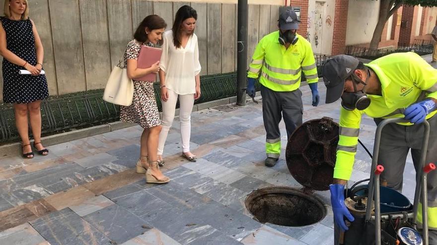 Comienza la campaña de control de plagas en Lorca