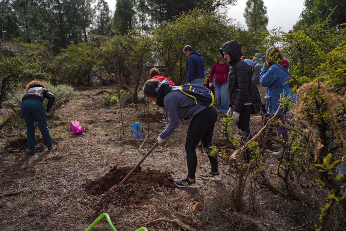 Una de las actividades durante la celebración del LVI Día del Árbol