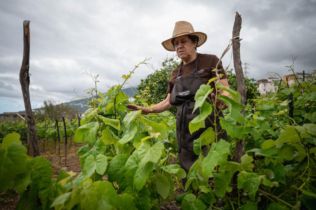 La técnica del cordón trenzado en bodegas Tajinaste, La Orotava