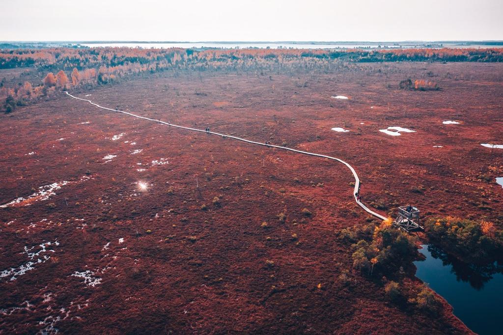 Los senderos recorren gran parte del territorio lituano y forman estampas tan impresionantes como esta