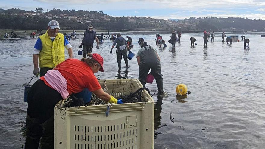 Las mariscadoras esperan las ayudas por el cese de actividad y confían en volver a faenar en julio
