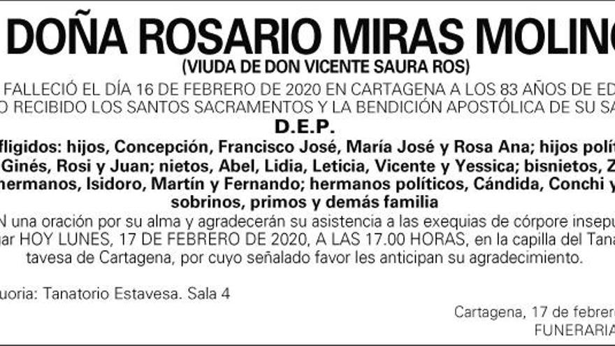 Dª Rosario Miras Molino