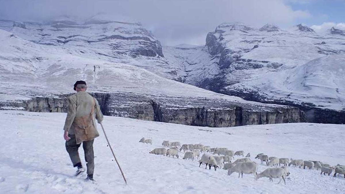 'Con la tierra en los pies' ya está en las salas de cine.