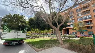 El Ayuntamiento inicia la renovación de 2.500 metros cuadrados de zonas verdes situadas en la avenida Sevilla