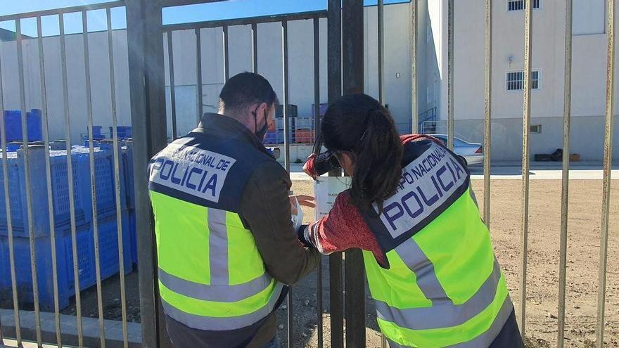 Detenido un empresario agrícola por explotación laboral