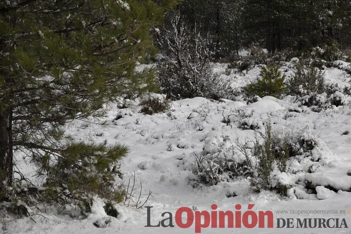 La borrasca Herminia tiñe de blanco la cima de la Región de Murcia