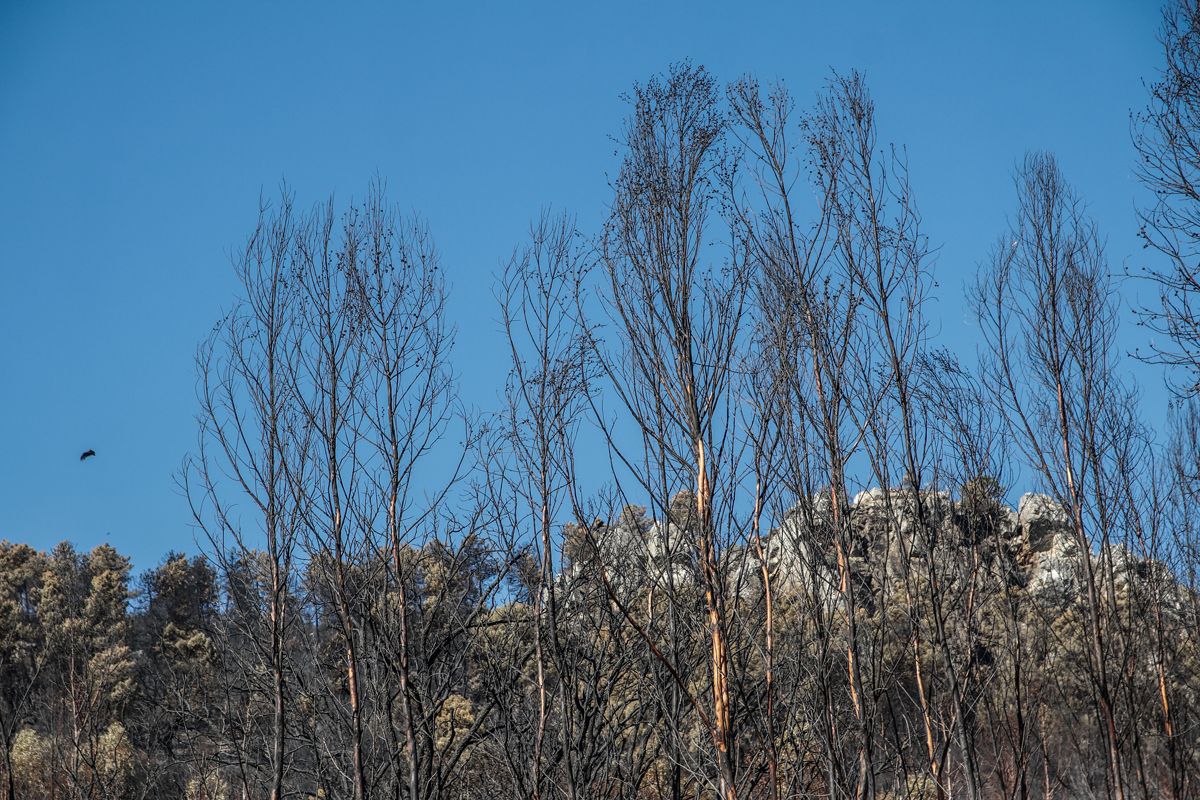 Así quedó la zona de Casas de Miravete y Monfragüe tras el incendio