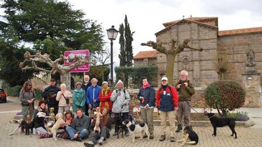 Imagen de los peregrinos en Santa Marta de Tera (Zamora).