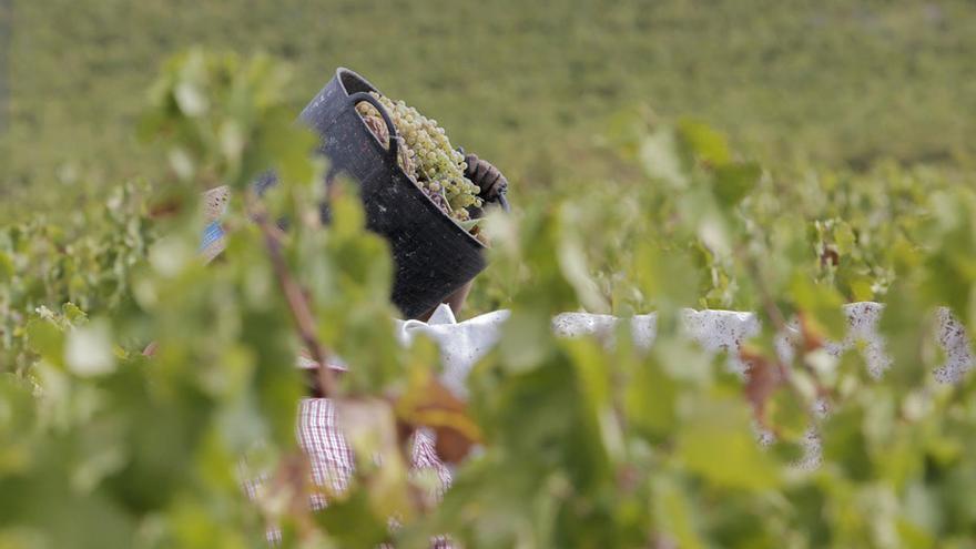 La Audiencia de Sevilla condena a dos años de cárcel a los rumanos acusados de traer a compatriotas a España para explotarles en el campo