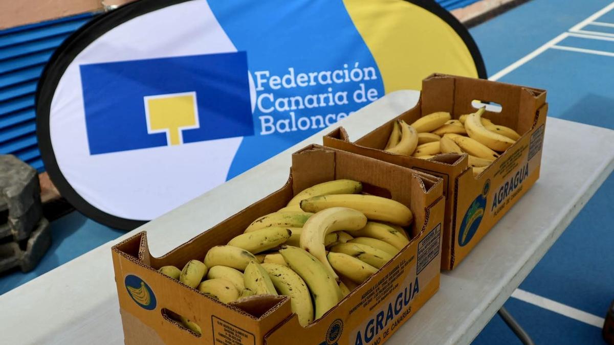 “Baloncesto Sin Límites - Plátano de Canarias” triunfa en Santa Lucía de Tirajana
