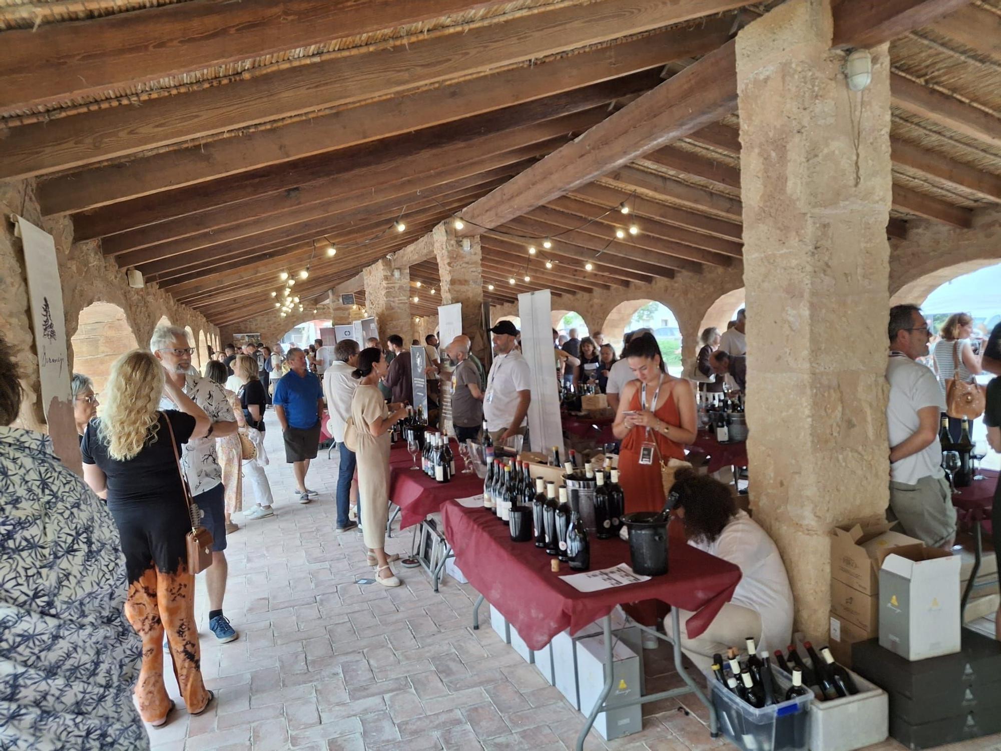 Singulares, de "poble" e insulares: la gran fiesta del vino en el riurau de Jesús Pobre (imágenes)