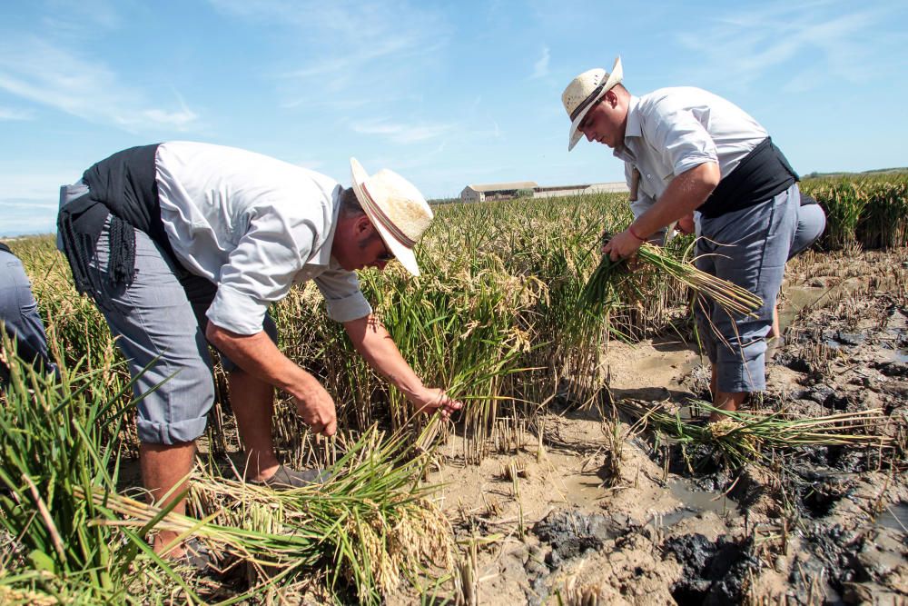 Fiesta de la Siega del Arroz