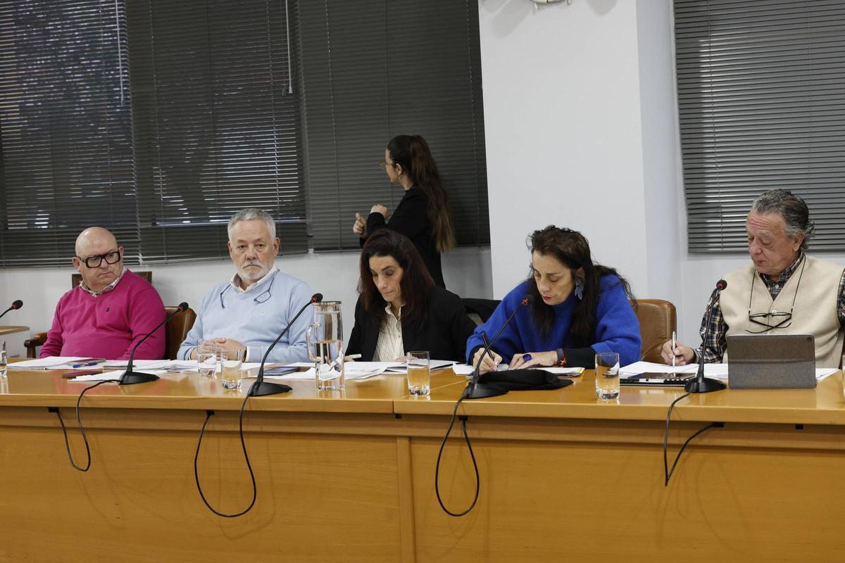 Concejales del PP y Vox, durante un pleno de Castrillón