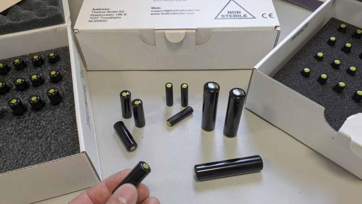 Aspecto de las marcas acústicas que se instalan a las especies marinas.