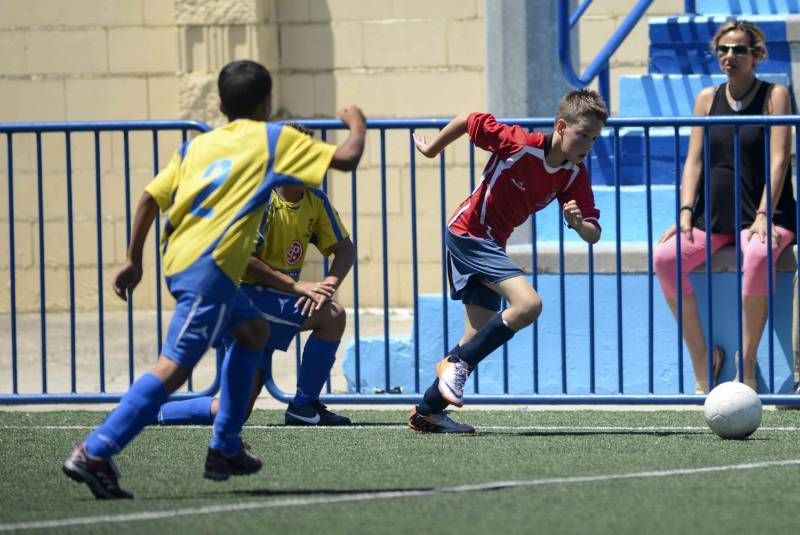 FÚTBOL: El Burgo de Ebro - Prados del Rey (1ª Alevín)