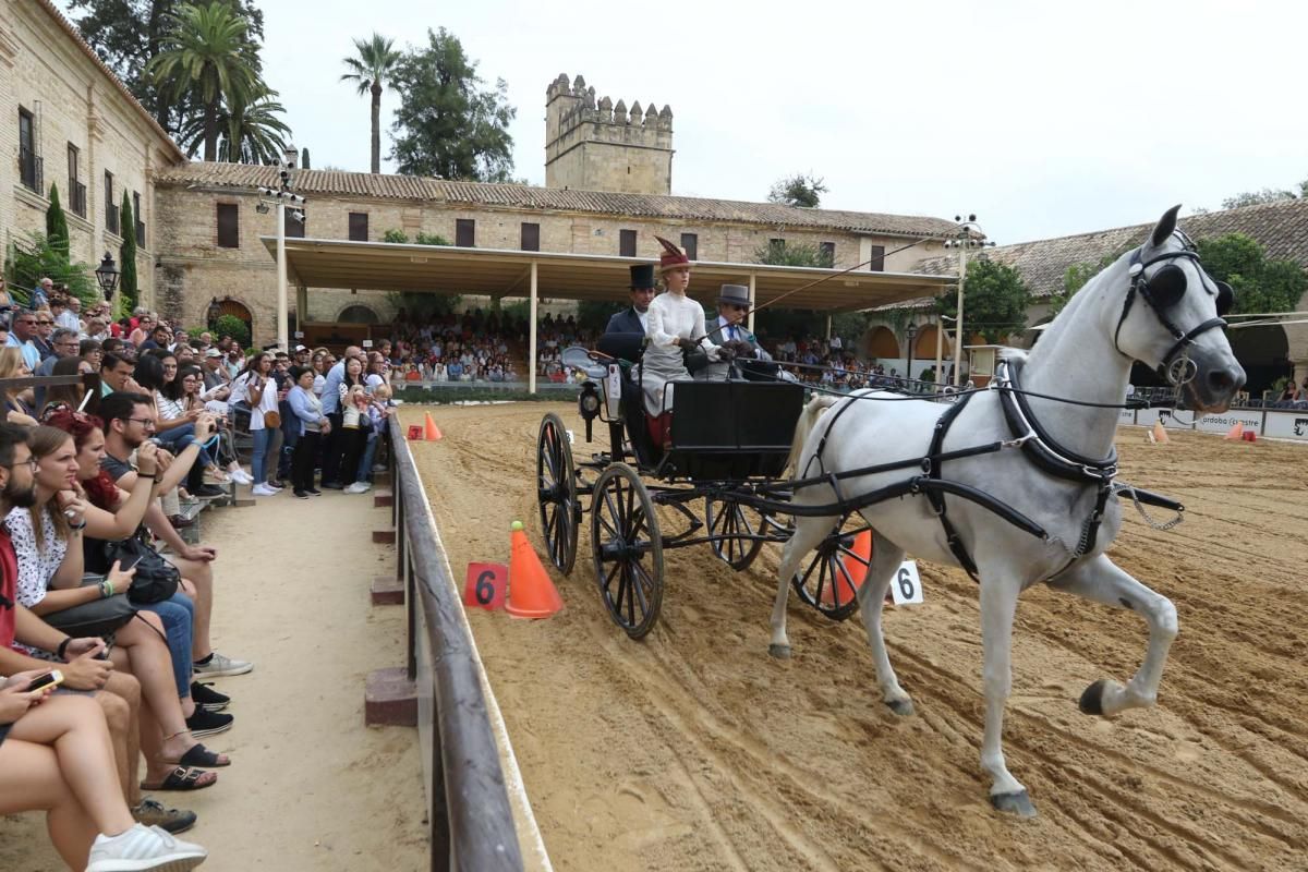 Concurso de atalaje de tradición en Cabalcor