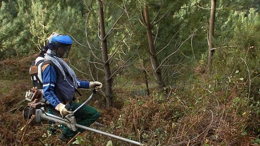 Un hombre realiza labores de limpieza en un monte de Val Miñor. / josé lores