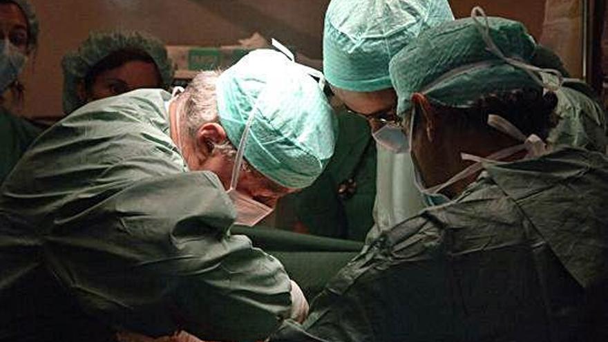 Especialistas del Complexo Hospitalario Universitario de A Coruña, durante un trasplante.