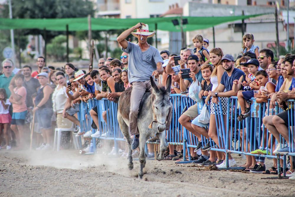 Carrera de burros y asnos y exhibición canina en D