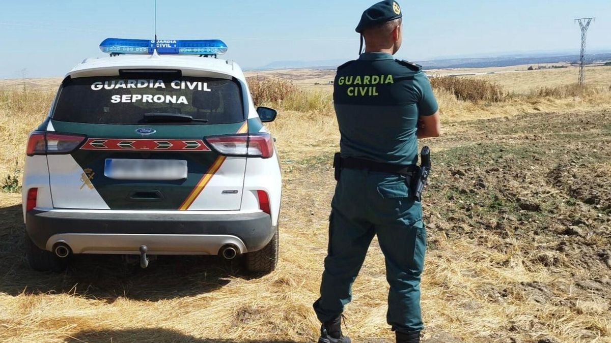 Un agente del Seprona de la Guardia Civil vigila el campo durante un servicio.