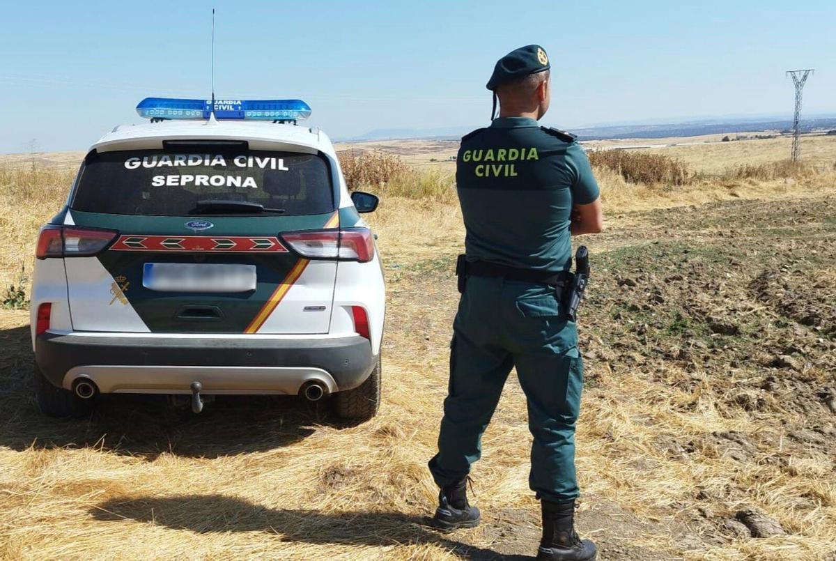 Un agente del Seprona de la Guardia Civil vigila el campo durante un servicio.