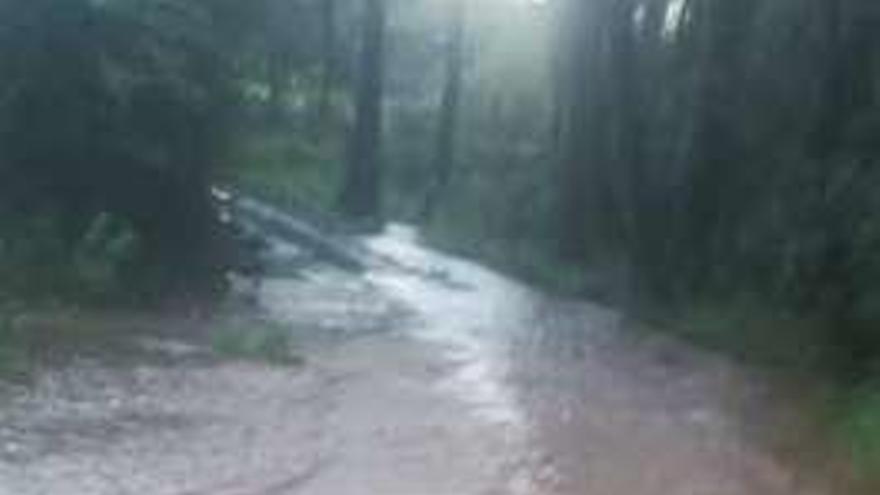 Estado de uno de los caminos de Vioño tras las recientes lluvias.