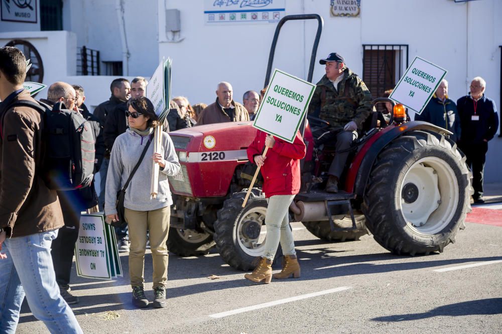 Agricultores de la provincia se manifiestan contra el plan de erradicación de la Xylella del Consell