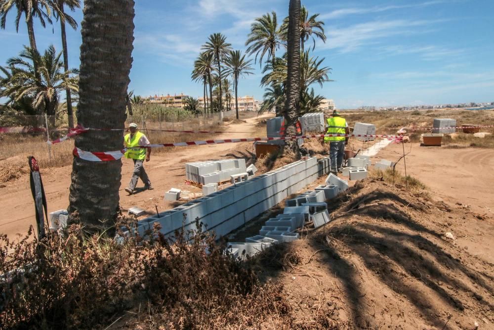 Un muro cierra el palmeral de Ferrís en Torrevieja