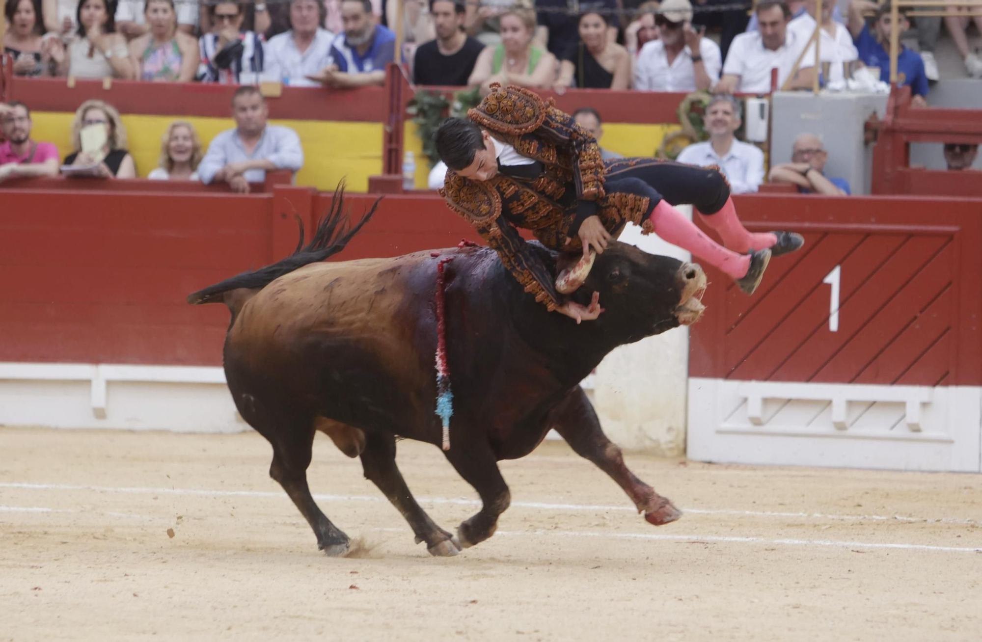 Susto en el cuarto toro de Manzanares en la Feria de Hogueras 2025