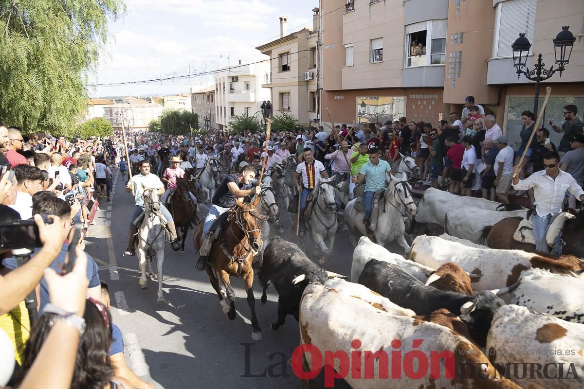 El segundo encierro de las Fiestas de Moratalla se salda con un herido